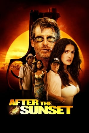 After The Sunset (2004) Hindi Dual Audio [780MB] HD Poster Download - filmyfly