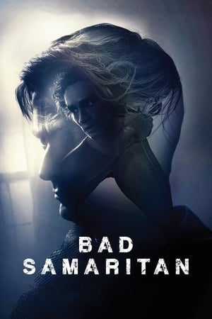 Bad Samaritan (2018) Hindi Dual Audio [1GB]
