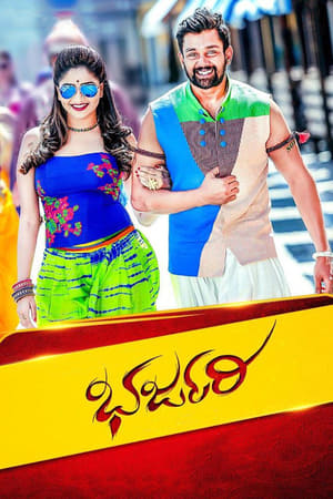 Bharjari 2017 Dual Audio Hindi Full Movie - 1.7GB HD Poster Download - filmyfly