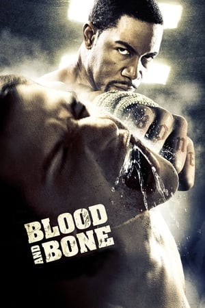 Blood and Bone (2009) Hindi Dual Audio [950MB] HD Poster Download - filmyfly