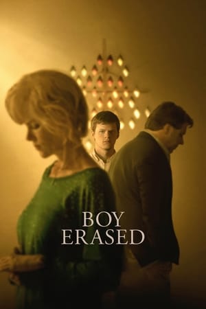 Boy Erased (2018) Hindi Dual Audio 380MB HD Poster Download - filmyfly
