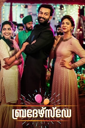 Brother’s Day (2019) (Hindi – Malayalam) Dual Audio – HD Poster Download - filmyfly