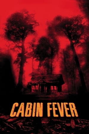 Cabin Fever (2002) Hindi Dual Audio 350MB