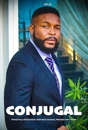Conjugal (2025) Hindi (MULTI AUDIO) – – HD Poster Download - filmyfly