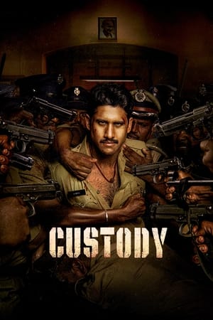 Custody 2023 Hindi (HQ-Dub) Dual Audio – HD Poster Download - filmyfly