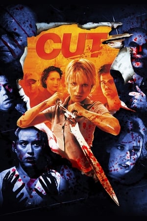 Cut (2000) Hindi Dual Audio 300MB HD Poster Download - filmyfly