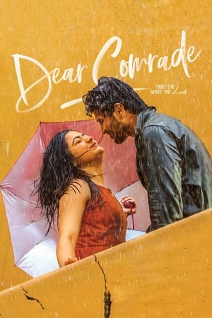 Dear Comrade 2019 (Hindi - Telugu) Dual Audio 450MB HD Poster Download - filmyfly