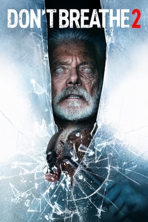 Don’t Breathe 2 (2021) Hindi Dual Audio [900MB] HD Poster Download - filmyfly