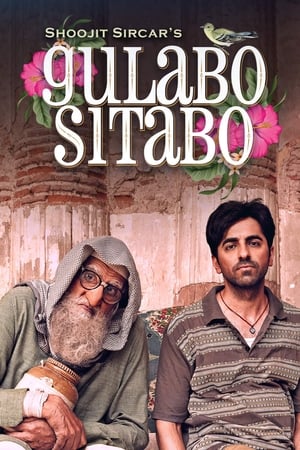 Gulabo Sitabo 2020 Hindi Movie - [360MB] HD Poster Download - filmyfly