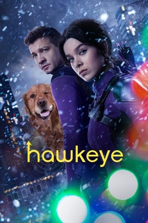 HawkEye (2021) Season 1 Dual Audio Hindi – – [1- 6 Episodes] HD Poster Download - filmyfly