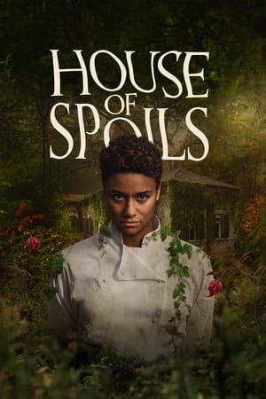 House of Spoils (2024) Hindi Dual Audio HD Poster Download - filmyfly