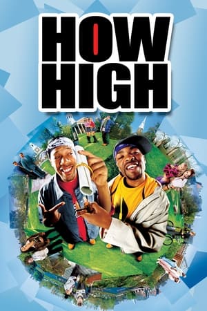 How High (2001) Hindi Dual Audio [800MB] HD Poster Download - filmyfly