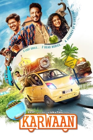 Karwaan (2018) Hindi Movie [900MB]