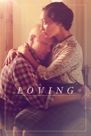 Loving (2016) Hindi Dual Audio 420MB HD Poster Download - filmyfly