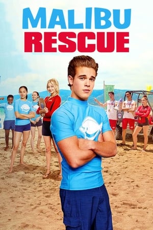 Malibu Rescue (2019) Hindi Dual Audio [1.4GB] HD Poster Download - filmyfly