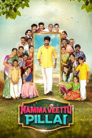 Namma Veettu Pillai (2019) (Hindi – Tamil) Dual Audio 450MB HD Poster Download - filmyfly