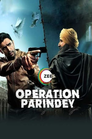 Operation Parindey 2020 Hindi Movie - [200MB] HD Poster Download - filmyfly