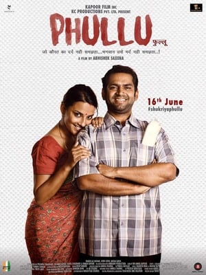 Phullu 2017 Full Movie DTHRip Download - 800MB HD Poster Download - filmyfly
