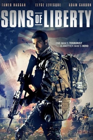 Sons of Liberty 2013 Hindi Dual Audio [1GB] HD Poster Download - filmyfly