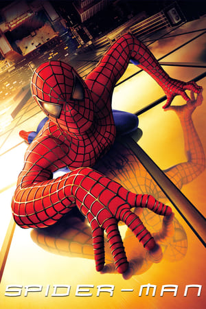 Spider-Man (2002) Hindi Dual Audio [820MB] HD Poster Download - filmyfly