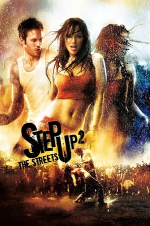 Step Up 2 The Streets 2008 Hindi Dual Audio 300MB HD Poster Download - filmyfly