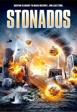 Stonados (2013) Hindi Dual Audio 300MB HD Poster Download - filmyfly