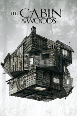 The Cabin in the Woods 2012 Dual Audio Hindi 300MB ESubs HD Poster Download - filmyfly