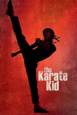 The Karate Kid 2010 Hindi Dubbed 1GB Movie HD Poster Download - filmyfly