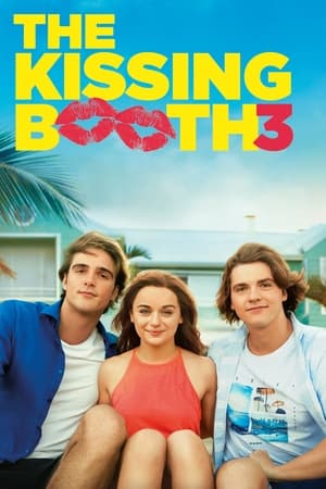 The Kissing Booth 3 2021 Hindi Dual Audio [1GB] HD Poster Download - filmyfly