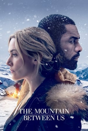 The Mountain Between Us 2017 Dual Audio Hindi [180MB] HD Poster Download - filmyfly