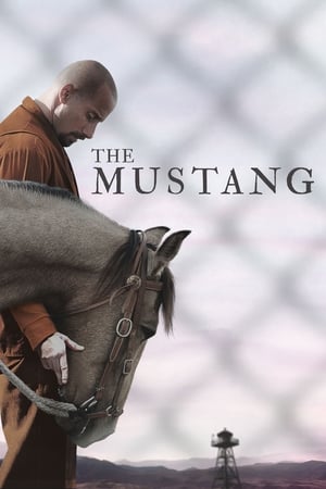 The Mustang (2019) Hindi Dual Audio [900MB] HD Poster Download - filmyfly