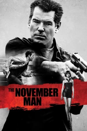 The November Man 2014 Dual Audio [Hindi - English] 350MB HD Poster Download - filmyfly