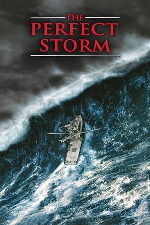 The Perfect Storm (2000) Hindi Dual Audio [1.2GB] HD Poster Download - filmyfly