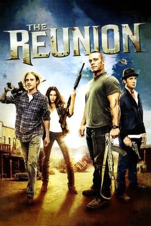 The Reunion (2011) Hindi Dual Audio 300MB HD Poster Download - filmyfly