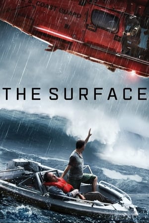 The Surface (2014) Hindi Dual Audio [800MB] HD Poster Download - filmyfly