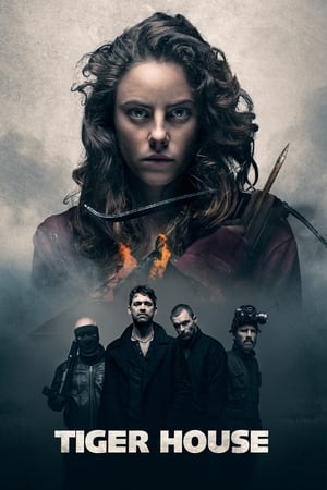 Tiger House (2015) Hindi Dual Audio [1.2GB] HD Poster Download - filmyfly