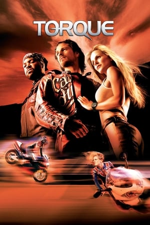 Torque 2004 Hindi Dual Audio [600MB] Download HD Poster Download - filmyfly