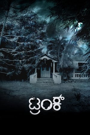 Trunk (2018) (Hindi – Kannada) Dual Audio 450MB HD Poster Download - filmyfly