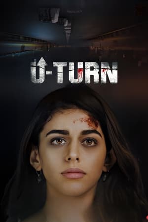 U-Turn (2023) Hindi HD Poster Download - filmyfly