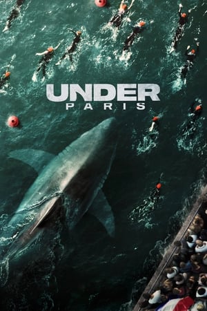 Under Paris 2024 Hindi Dual Audio – 720p – HD Poster Download - filmyfly