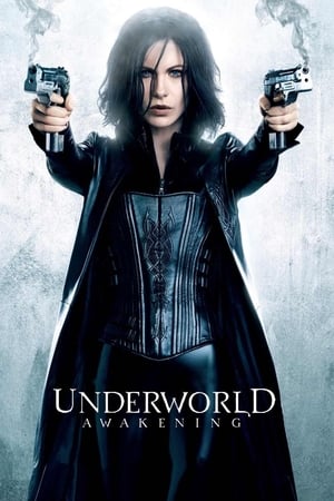 Underworld Awakening (2012) 100mb Hindi Dual Audio movie Download HD Poster Download - filmyfly