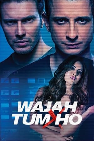 Wajah Tum Ho 2016 [PDVDRip] 700MB DDR HD Poster Download - filmyfly